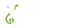 Instituto Semeares